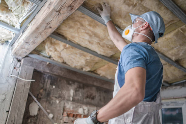 Best Geographic-Specific Insulation Services in Three Rivers, OR